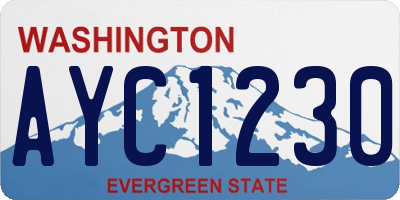 WA license plate AYC1230