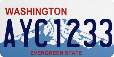 WA license plate AYC1233