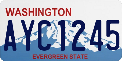 WA license plate AYC1245