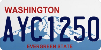 WA license plate AYC1250