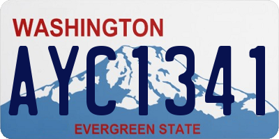 WA license plate AYC1341