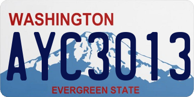 WA license plate AYC3013