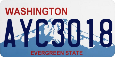 WA license plate AYC3018