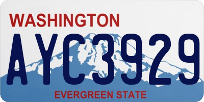 WA license plate AYC3929