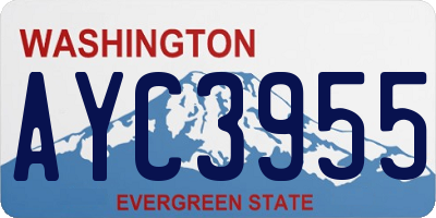 WA license plate AYC3955
