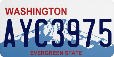 WA license plate AYC3975