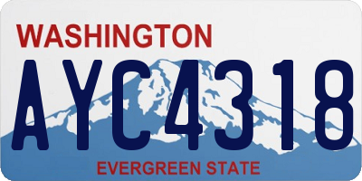 WA license plate AYC4318