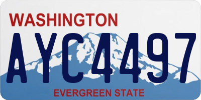 WA license plate AYC4497