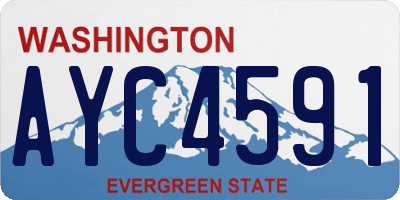WA license plate AYC4591
