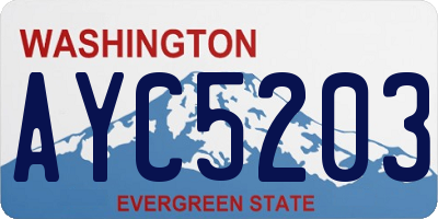 WA license plate AYC5203