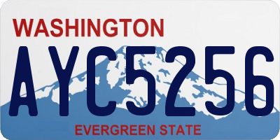 WA license plate AYC5256