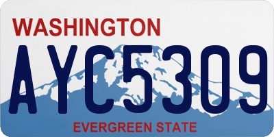 WA license plate AYC5309
