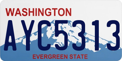 WA license plate AYC5313