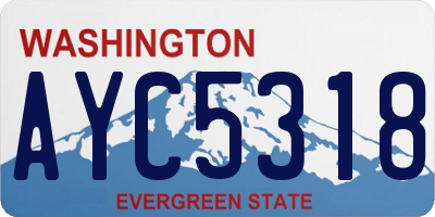 WA license plate AYC5318