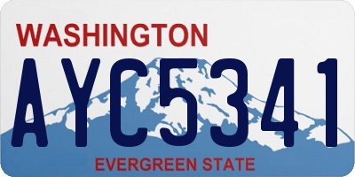 WA license plate AYC5341