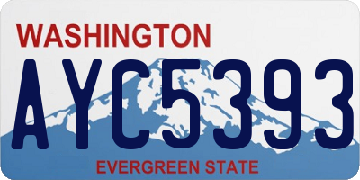 WA license plate AYC5393