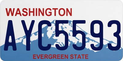 WA license plate AYC5593