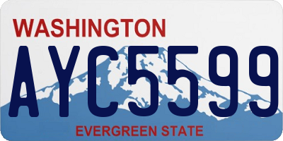 WA license plate AYC5599