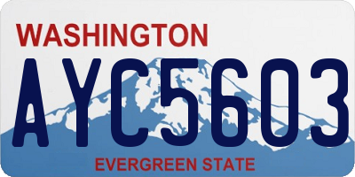 WA license plate AYC5603