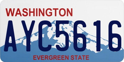 WA license plate AYC5616