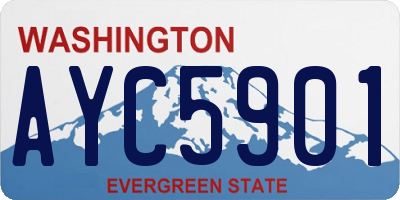 WA license plate AYC5901