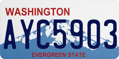 WA license plate AYC5903