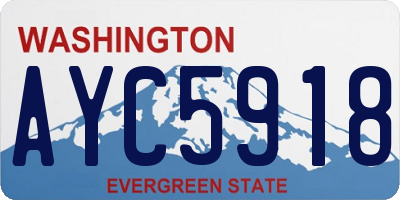 WA license plate AYC5918