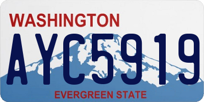 WA license plate AYC5919