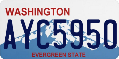 WA license plate AYC5950
