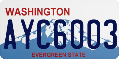 WA license plate AYC6003