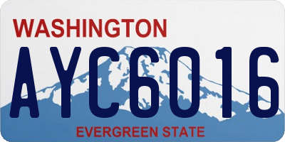 WA license plate AYC6016