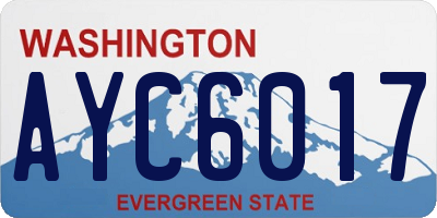 WA license plate AYC6017