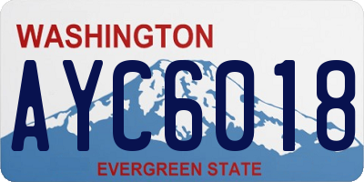 WA license plate AYC6018
