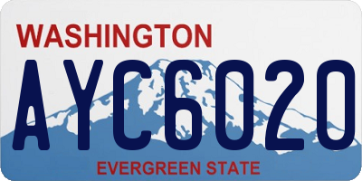 WA license plate AYC6020