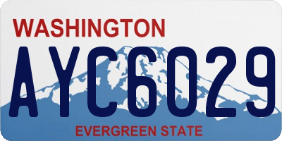 WA license plate AYC6029