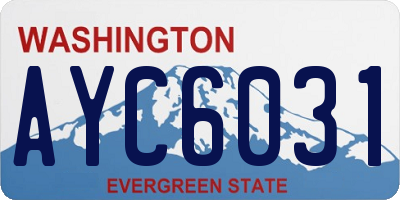 WA license plate AYC6031