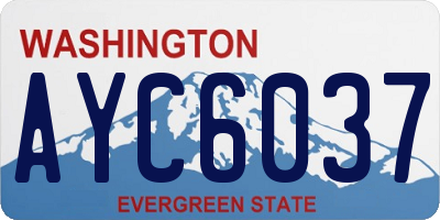 WA license plate AYC6037