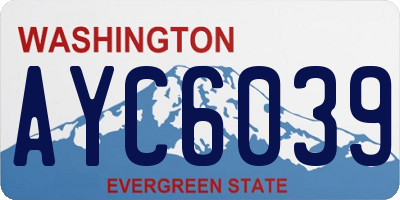 WA license plate AYC6039