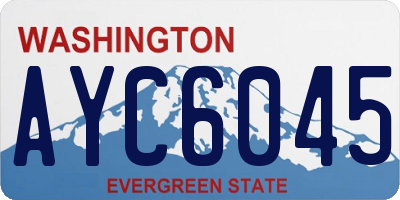WA license plate AYC6045