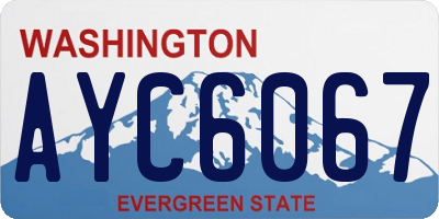 WA license plate AYC6067