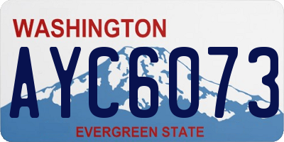WA license plate AYC6073