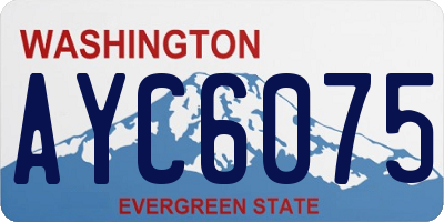 WA license plate AYC6075