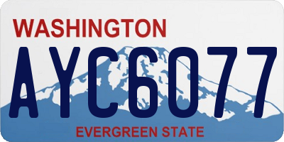 WA license plate AYC6077