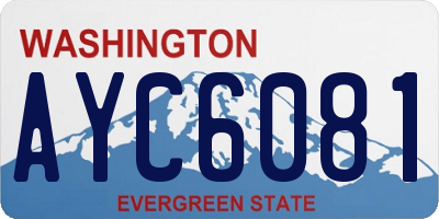 WA license plate AYC6081