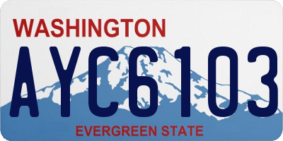 WA license plate AYC6103