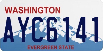 WA license plate AYC6141