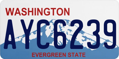 WA license plate AYC6239