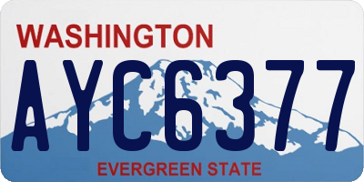 WA license plate AYC6377