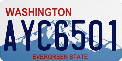 WA license plate AYC6501