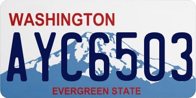WA license plate AYC6503